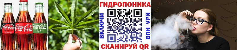 Canna-Cookies конопля Славск